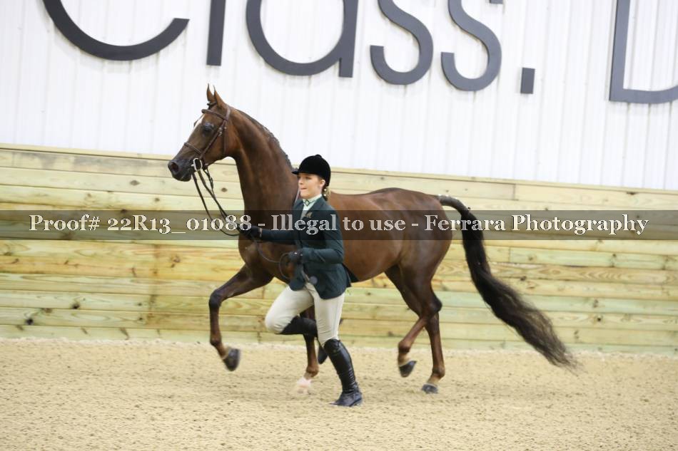 Proof 22R13_01088