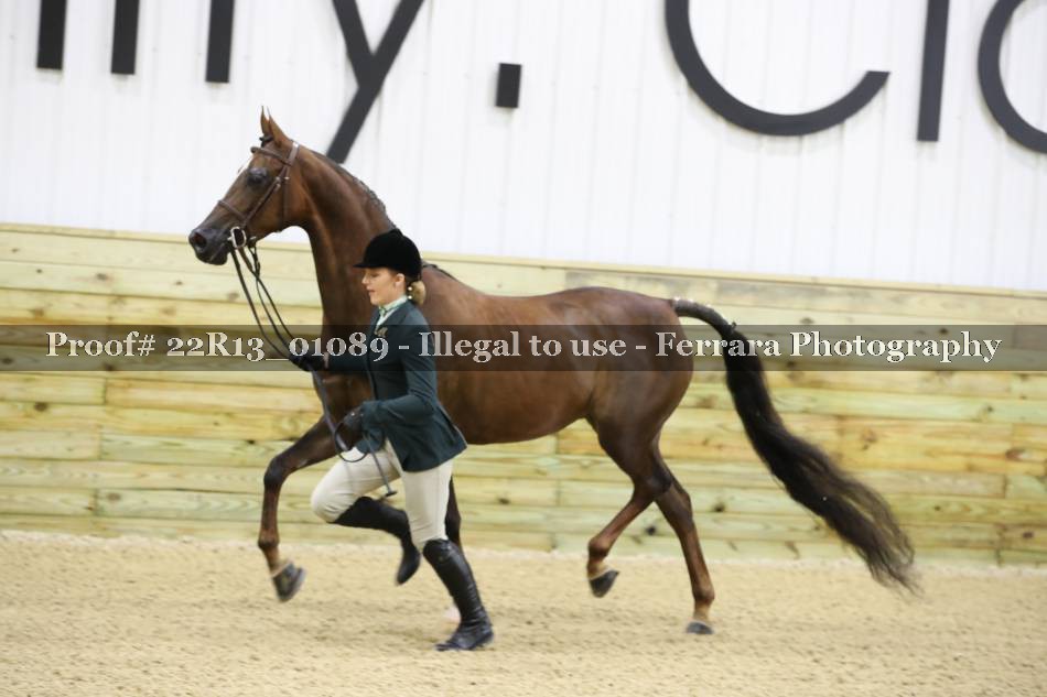 Proof 22R13_01089