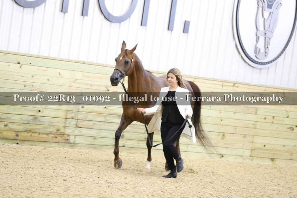 Proof 22R13_01092