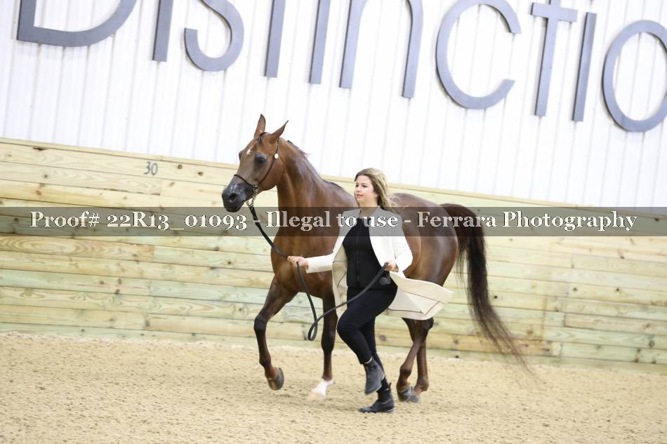 Proof 22R13_01093