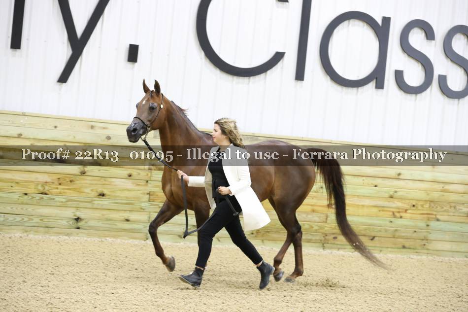 Proof 22R13_01095