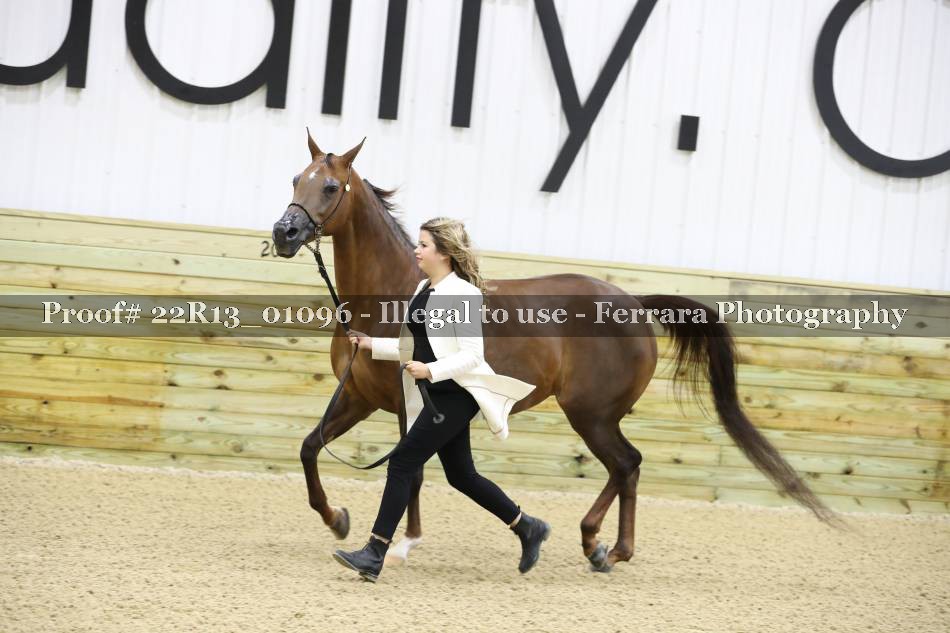 Proof 22R13_01096