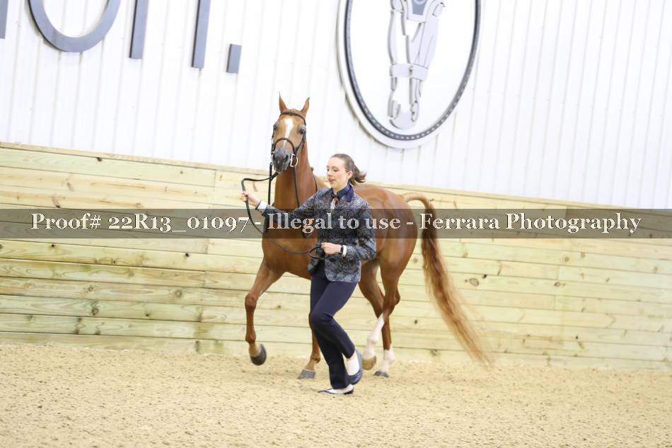 Proof 22R13_01097
