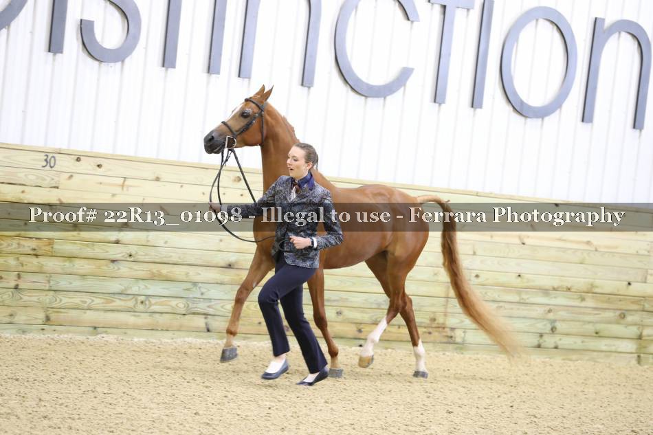 Proof 22R13_01098