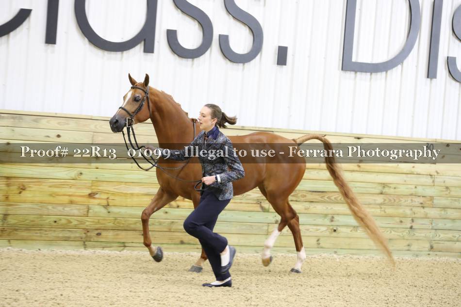 Proof 22R13_01099