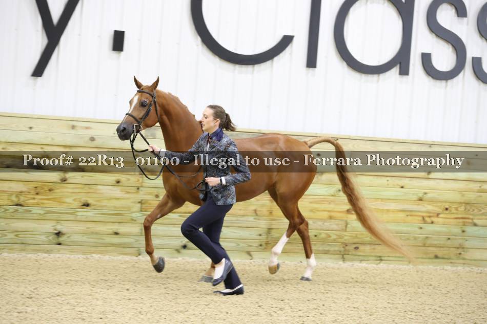 Proof 22R13_01100