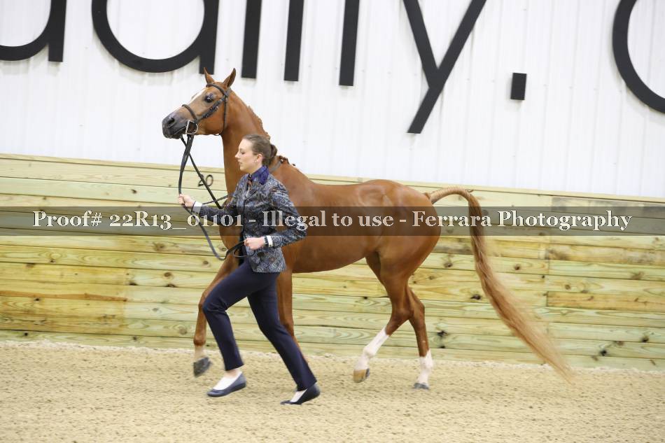 Proof 22R13_01101