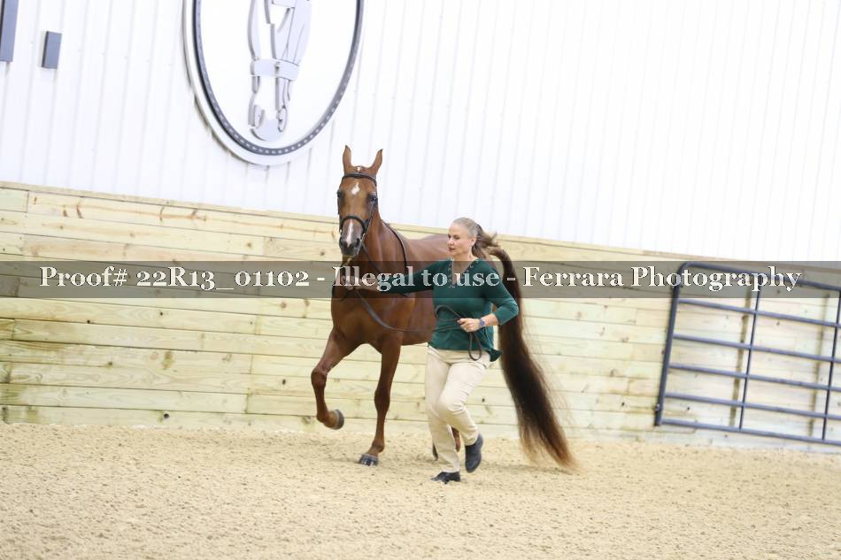 Proof 22R13_01102