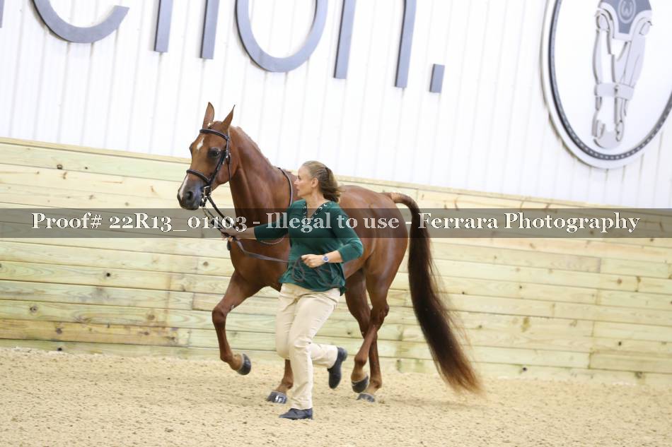 Proof 22R13_01103