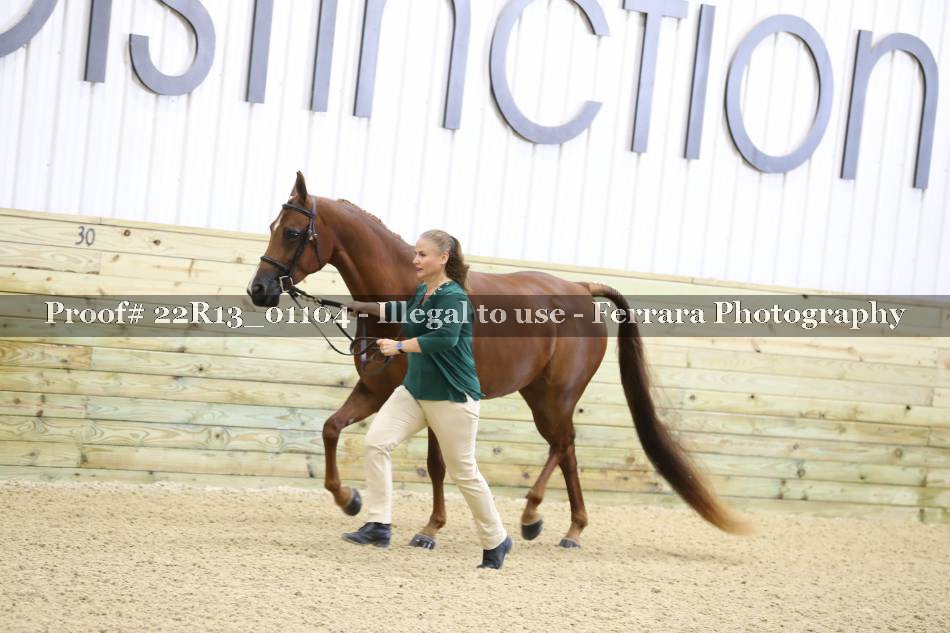 Proof 22R13_01104
