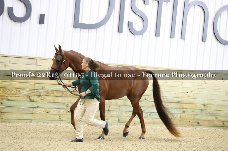 Proof 22R13_01105