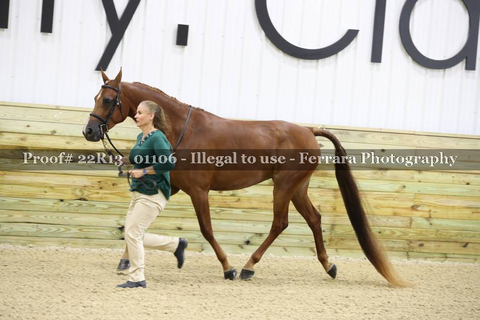 Proof 22R13_01106