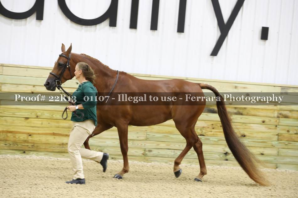 Proof 22R13_01107