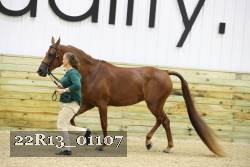 22R13_01107 proof