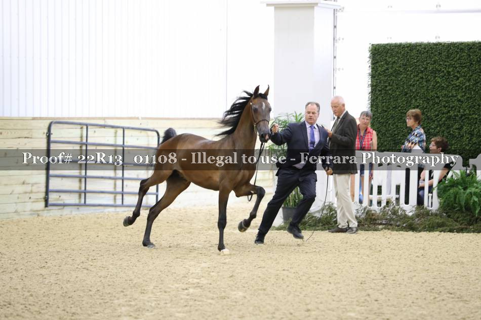 Proof 22R13_01108