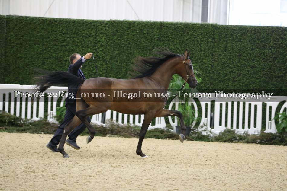 Proof 22R13_01110