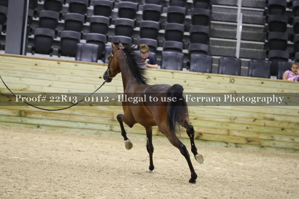 Proof 22R13_01112