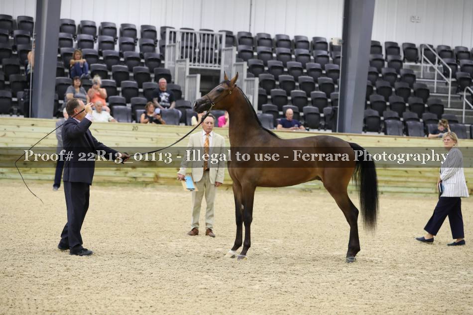 Proof 22R13_01113