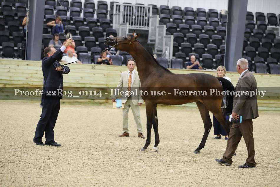 Proof 22R13_01114
