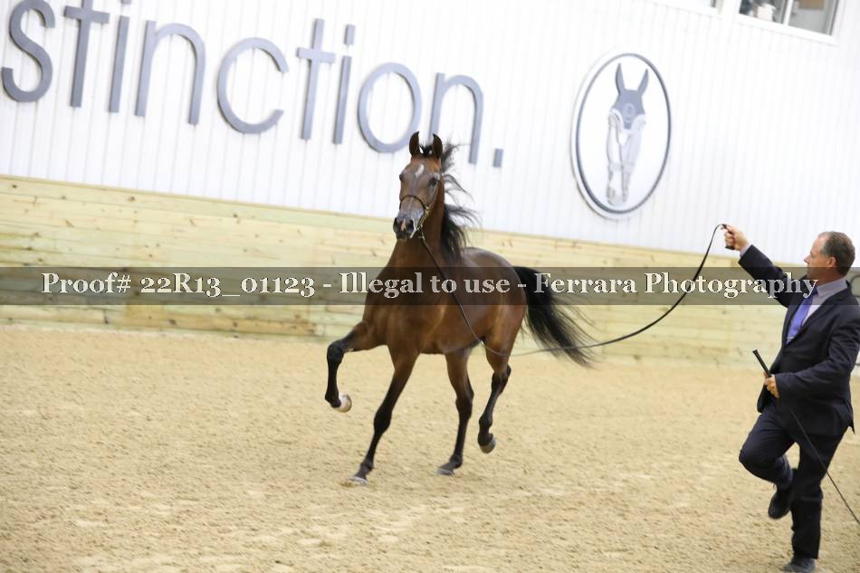 Proof 22R13_01123