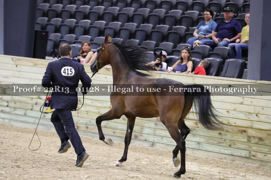 Proof 22R13_01128