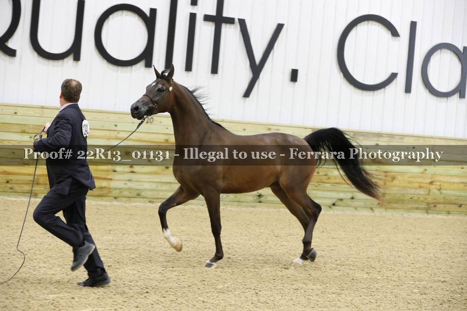 Proof 22R13_01131