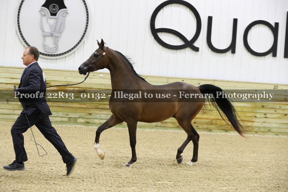 Proof 22R13_01132