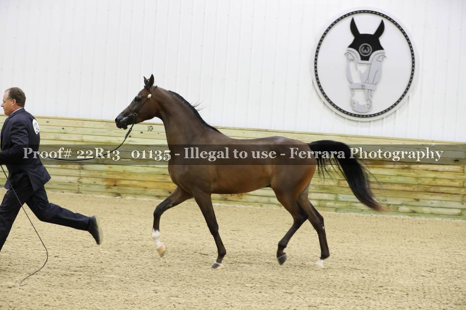 Proof 22R13_01135