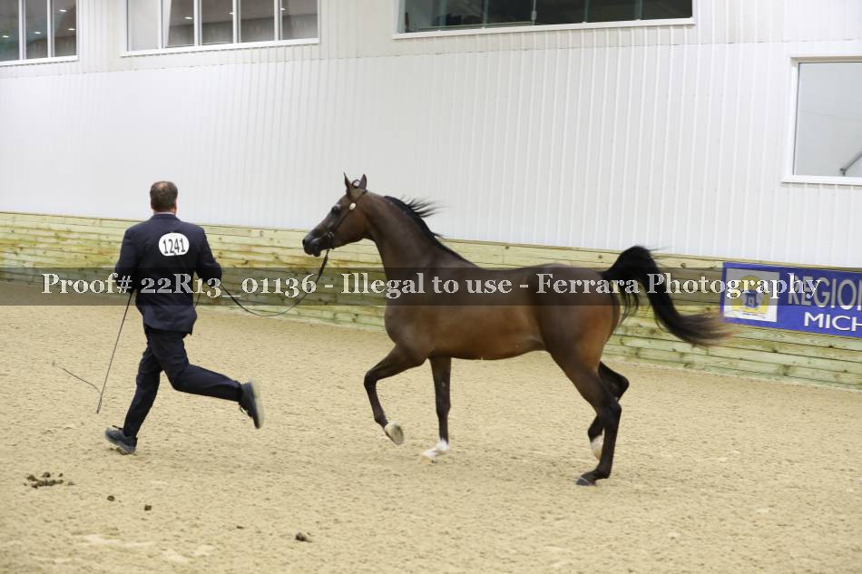 Proof 22R13_01136