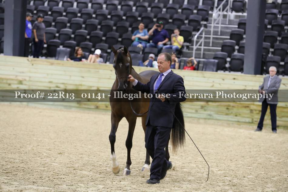 Proof 22R13_01141