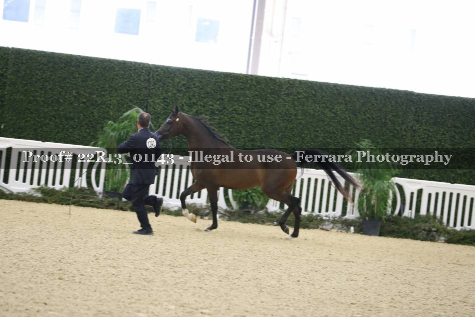 Proof 22R13_01143