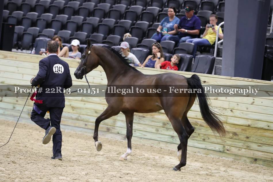 Proof 22R13_01151