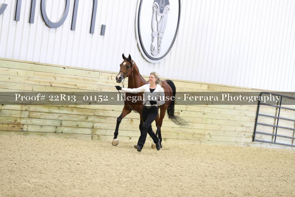 Proof 22R13_01152