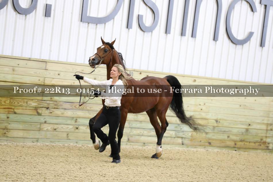 Proof 22R13_01154