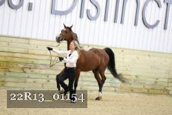 22R13_01154 proof