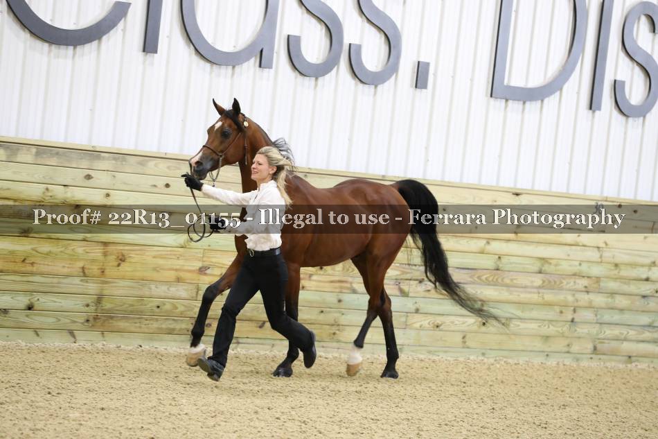 Proof 22R13_01155