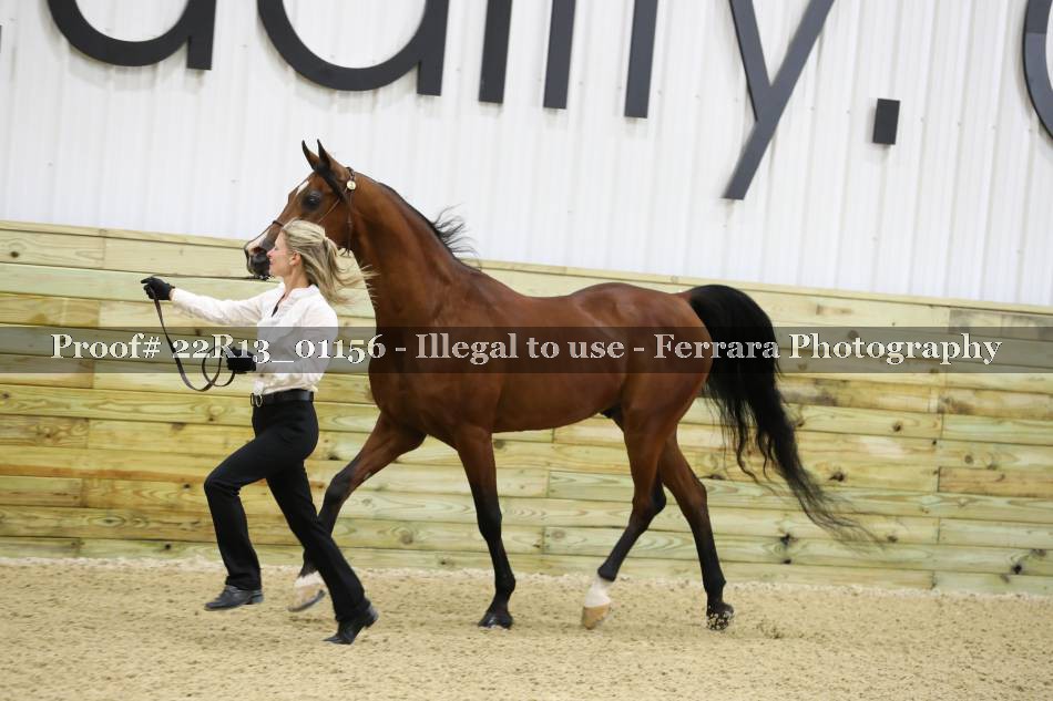 Proof 22R13_01156