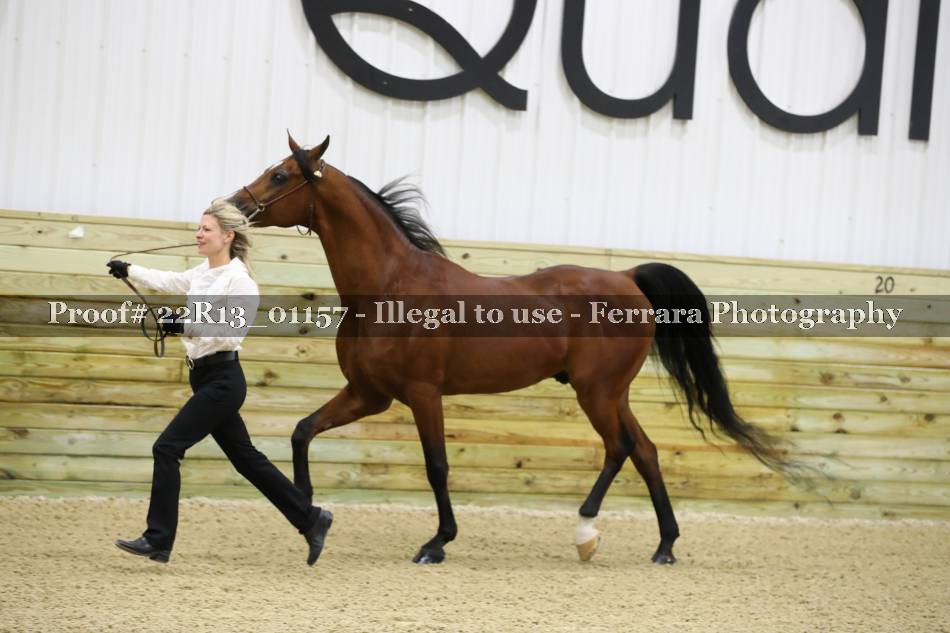 Proof 22R13_01157