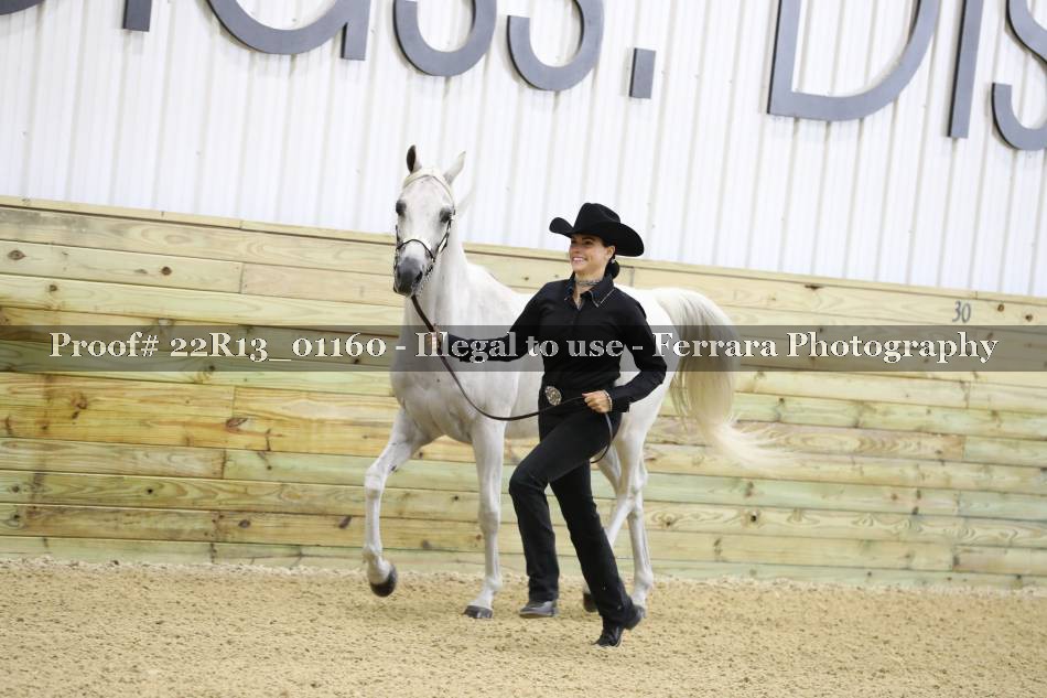 Proof 22R13_01160