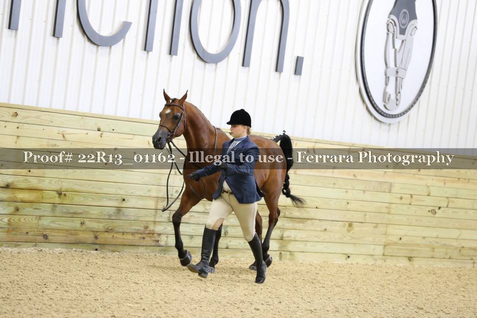 Proof 22R13_01162