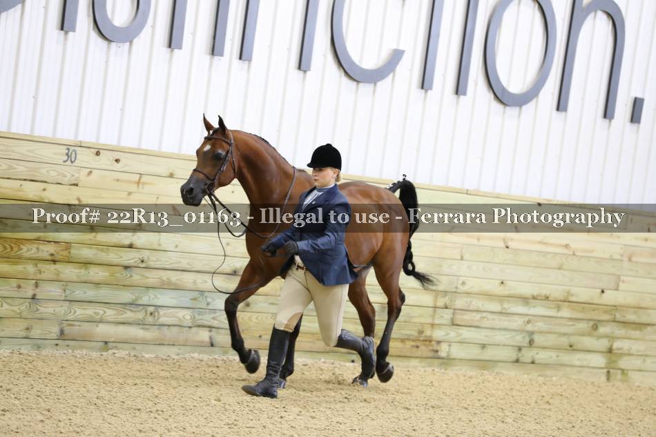 Proof 22R13_01163