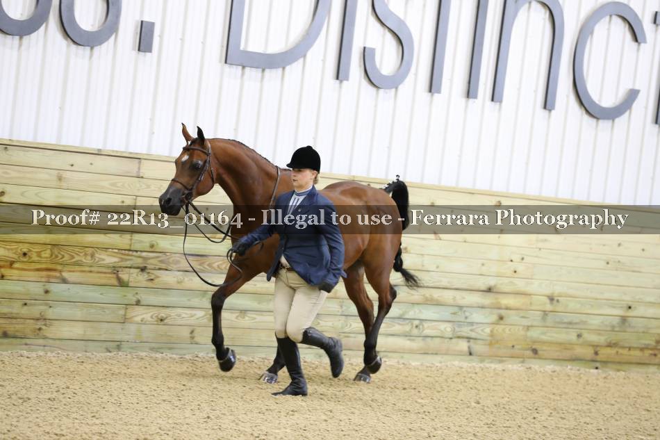 Proof 22R13_01164