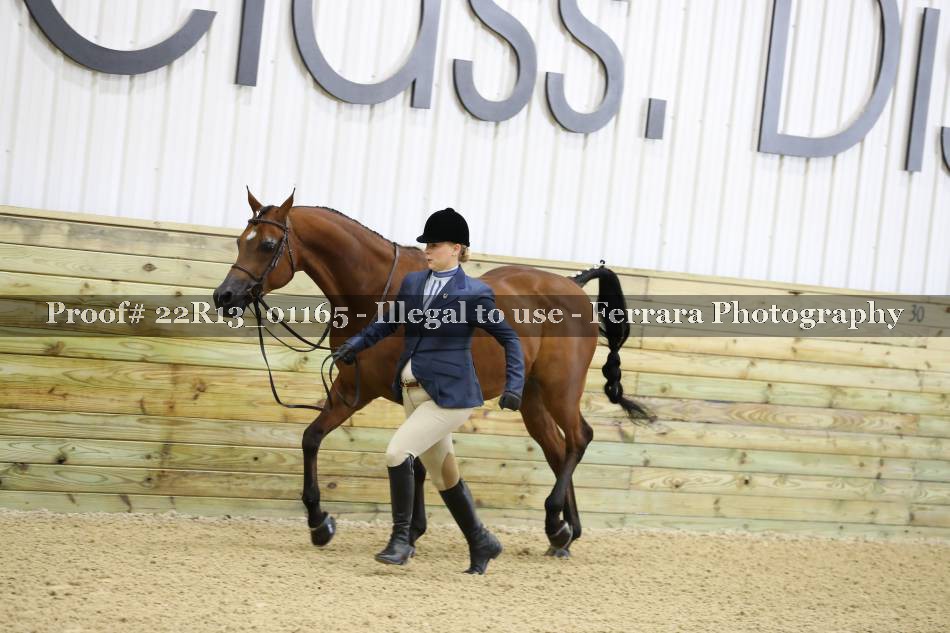 Proof 22R13_01165
