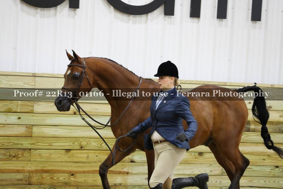 Proof 22R13_01166