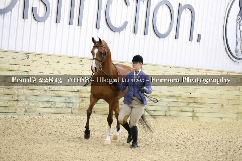 Proof 22R13_01168