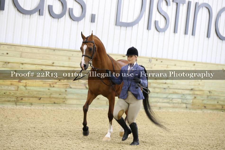 Proof 22R13_01169