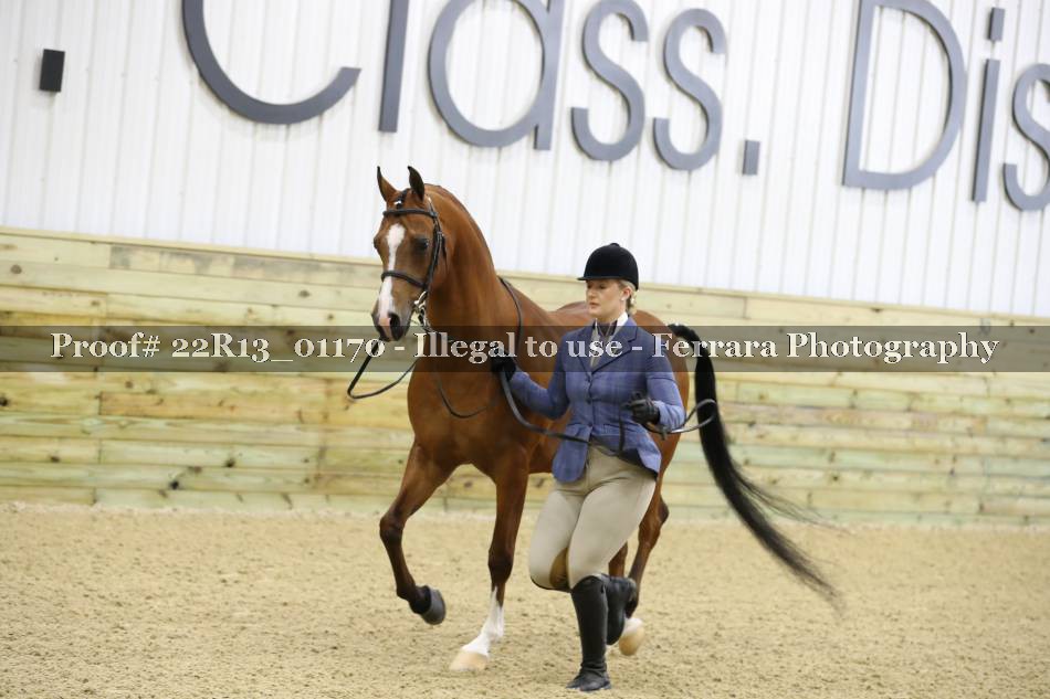 Proof 22R13_01170