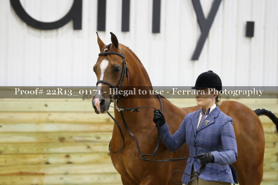 Proof 22R13_01171