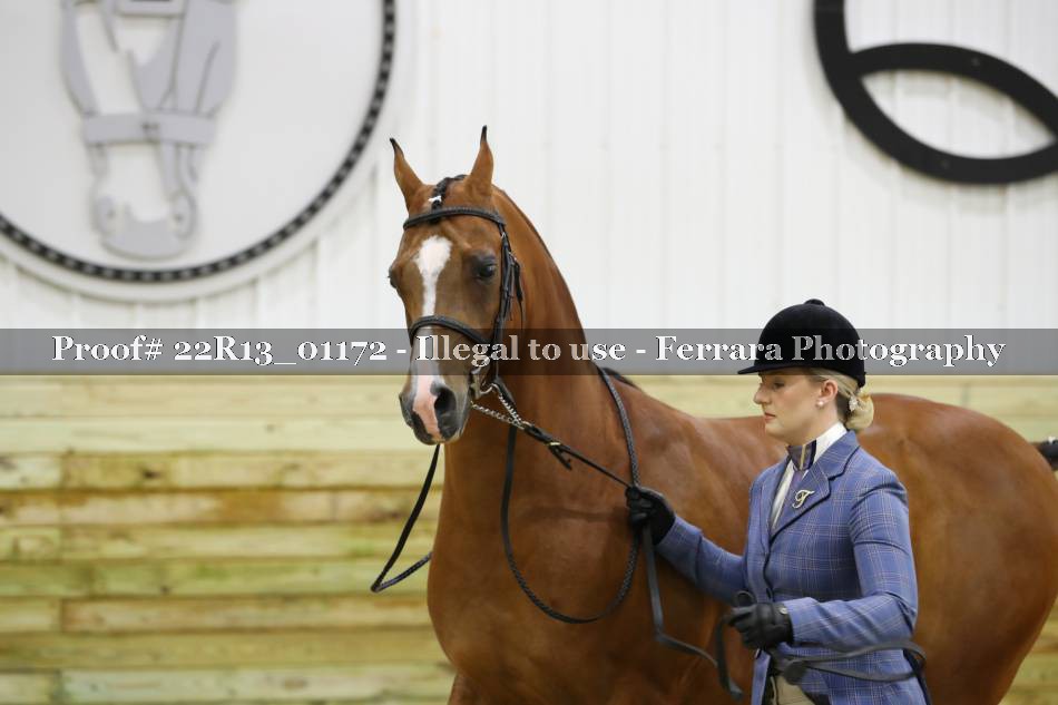 Proof 22R13_01172