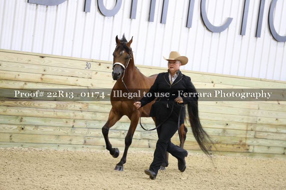 Proof 22R13_01174